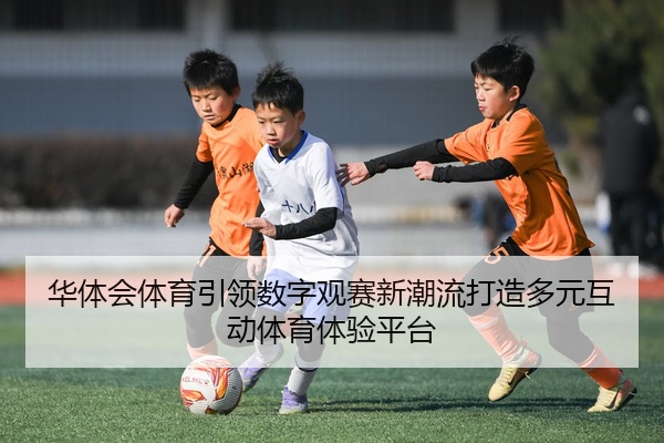 华体会体育引领数字观赛新潮流打造多元互动体育体验平台